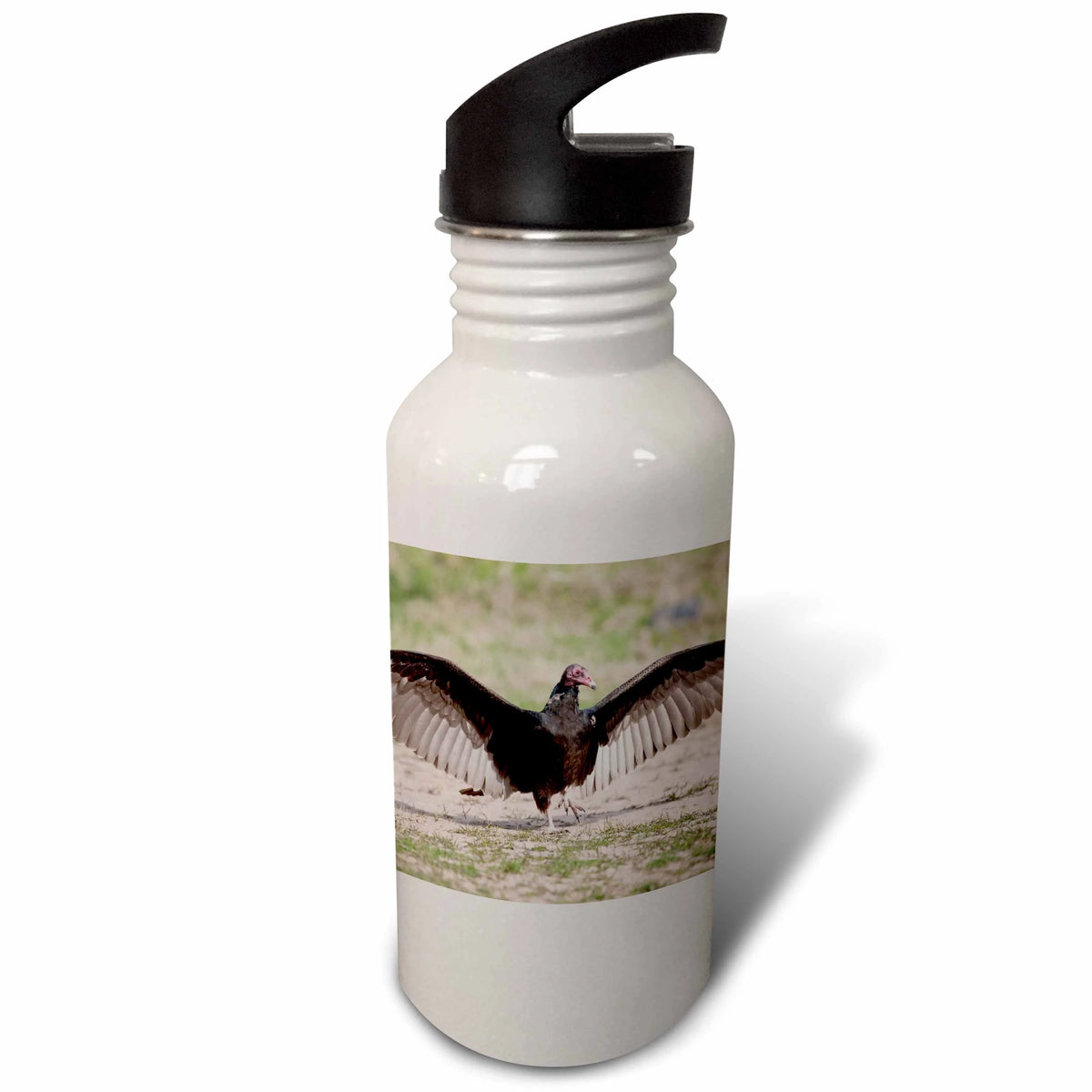 Turkey Vulture bird Sports Water Bottle H25566