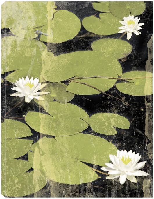Canvas Art 24x32 N394064