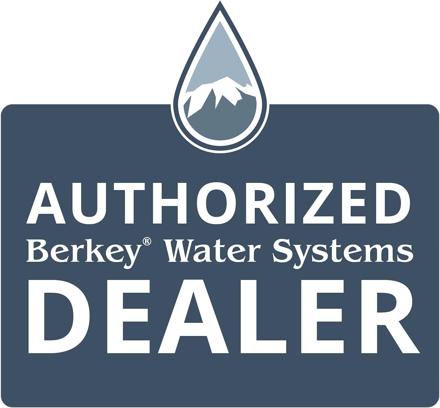 Black Berkey Purification Elements Water Purifier Replacement Filters (Pack of 2) R449782
