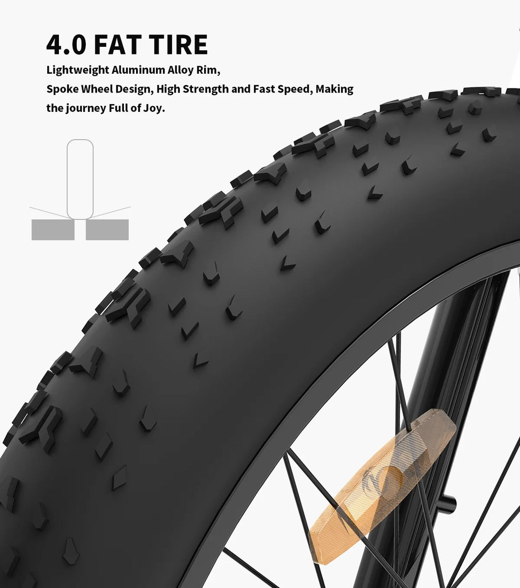 750W Electric Bike with Removable 48V 13Ah Li-Ion Battery L140525