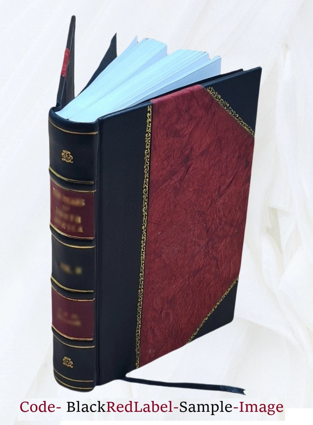Leather Bound Book O119