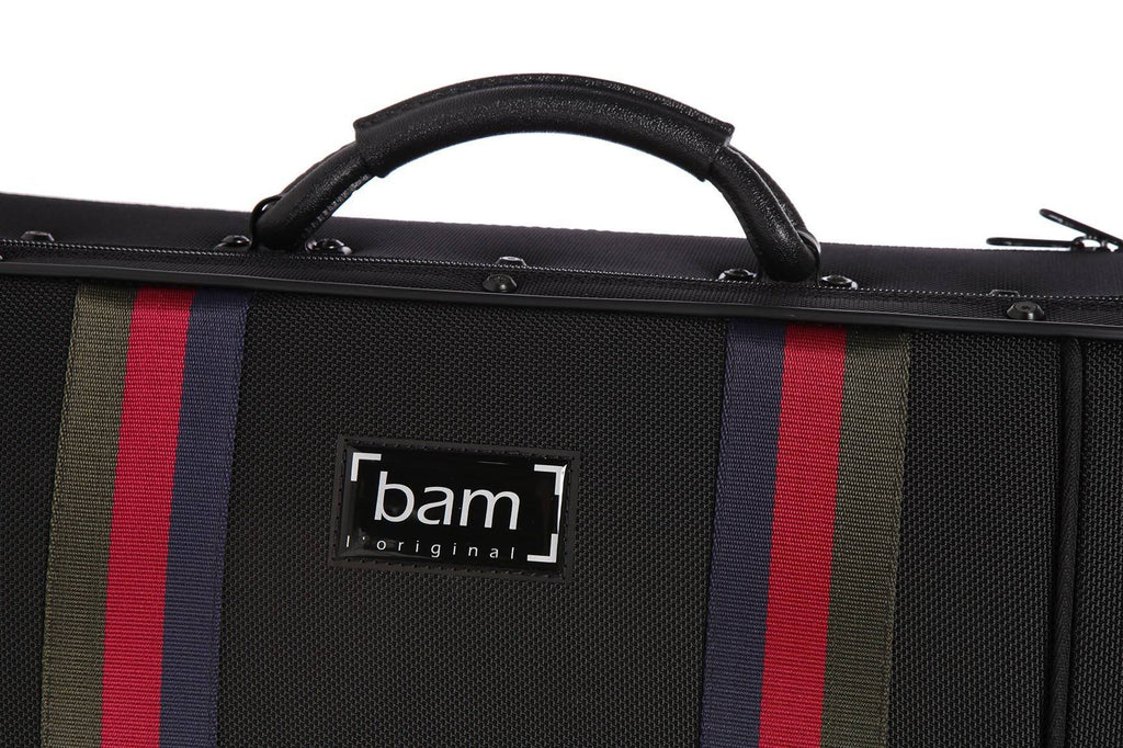 Blue Oblong Viola Case N6588