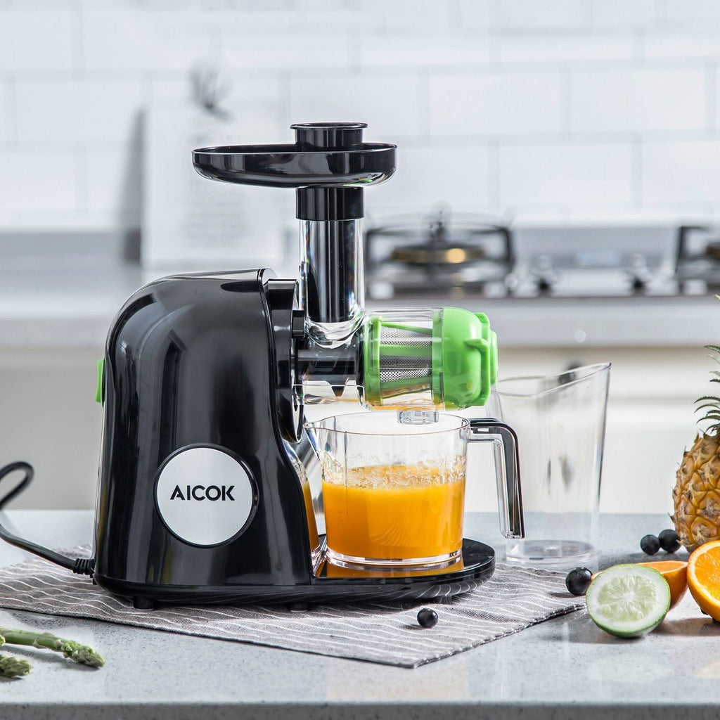 Cold Press Masticating Juicer I904